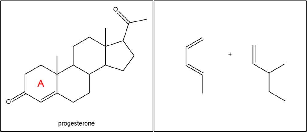 <IMAGE>