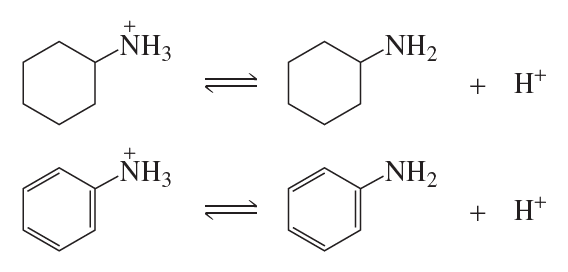 Chemical structures illustrating the equilibrium between cyclohexylammonium ion and cyclohexylamine, and anilinium ion and aniline.