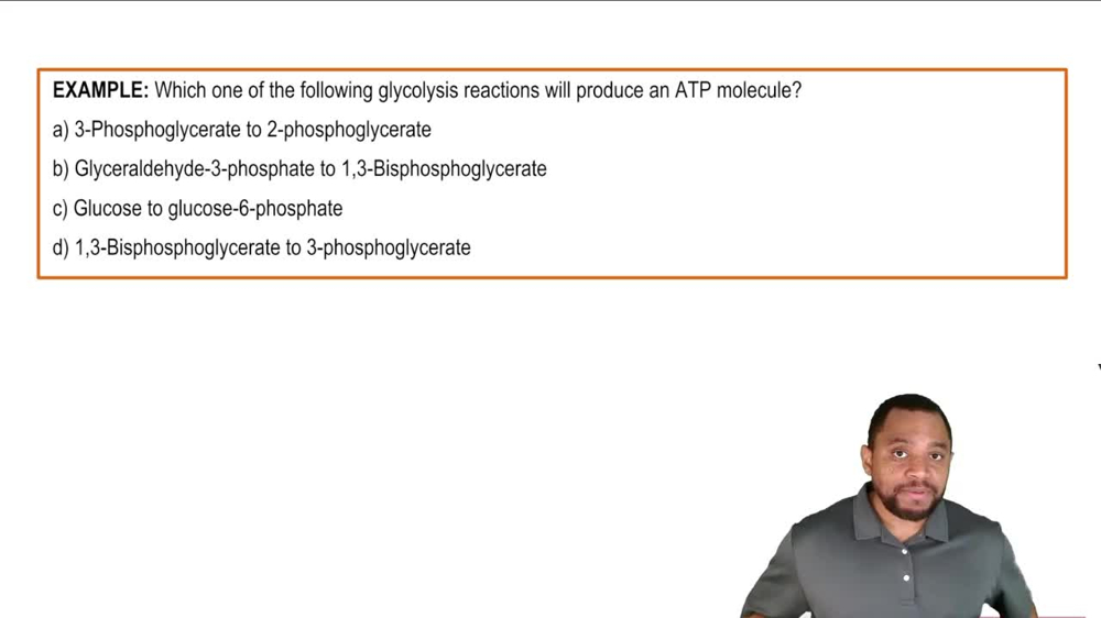 Glycolysis Example 2