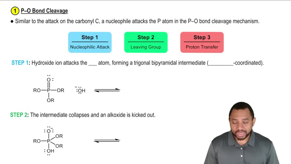 Hydrolysis of Phosphate Esters Concept 3