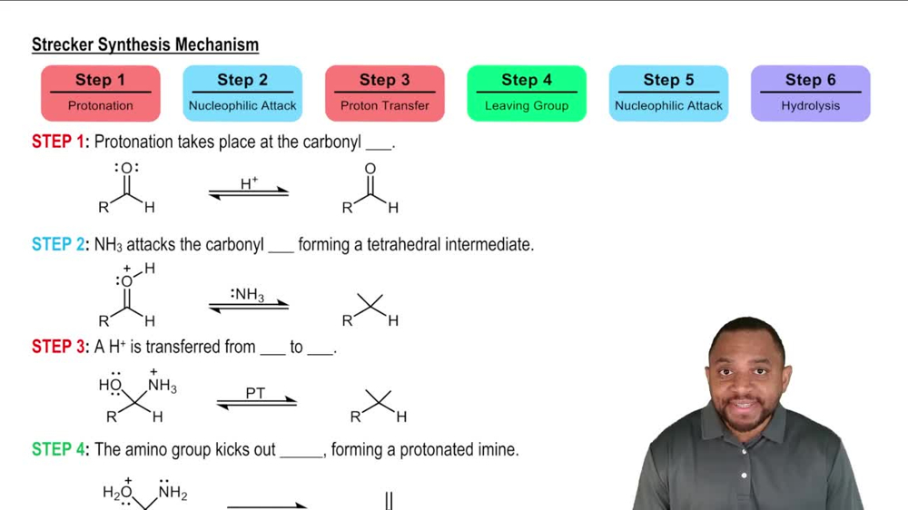 Synthesis of Amino Acids: Strecker Synthesis Concept 2