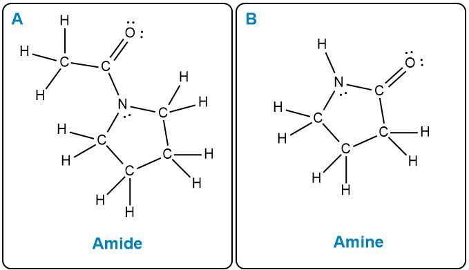 Answer Option B