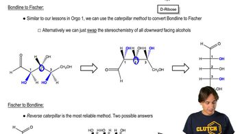 Monosaccharides - Drawing Fischer Projections