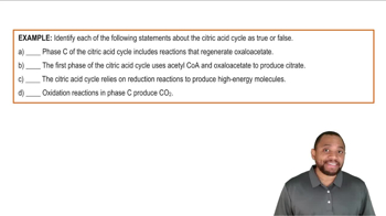 Intro to Citric Acid Cycle Example 2