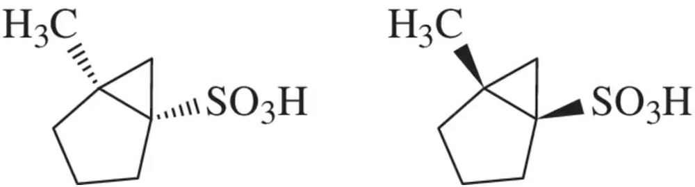 Two enantiomeric sulfonic acids are illustrated, showing their distinct structures and functional groups.