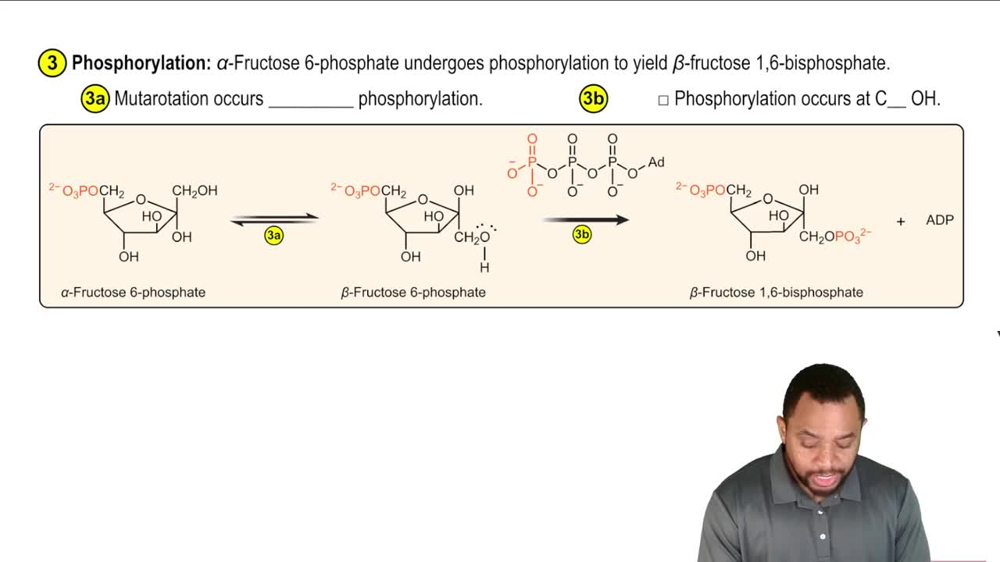 Glycolysis Reaction 3