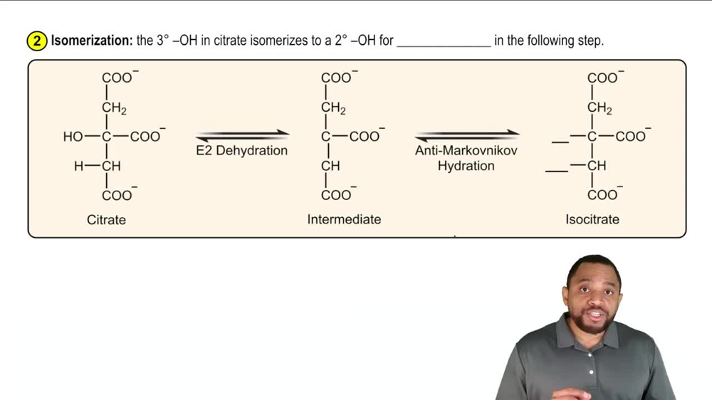 The Citric Acid Cycle Concept 4