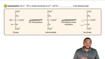 The Citric Acid Cycle Concept 4