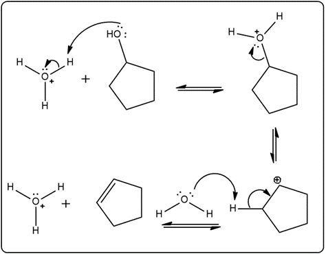 Another view of the reverse acid-catalyzed hydration mechanism.