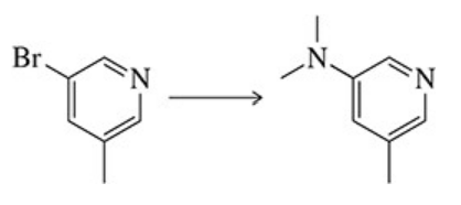 Chemical reaction: Bromopyridine transforms to N-methylpyridylamine, indicating a Buchwald-Hartwig amination process.