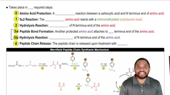 Merrifield Solid-Phase Peptide Synthesis Concept 2