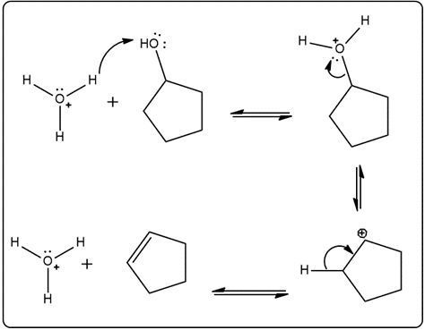 Final representation of the reverse reaction mechanism in acid-catalyzed hydration.