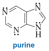 Chemical structure of purine, a heterocyclic compound with four nitrogen atoms, labeled for acidity ranking.
