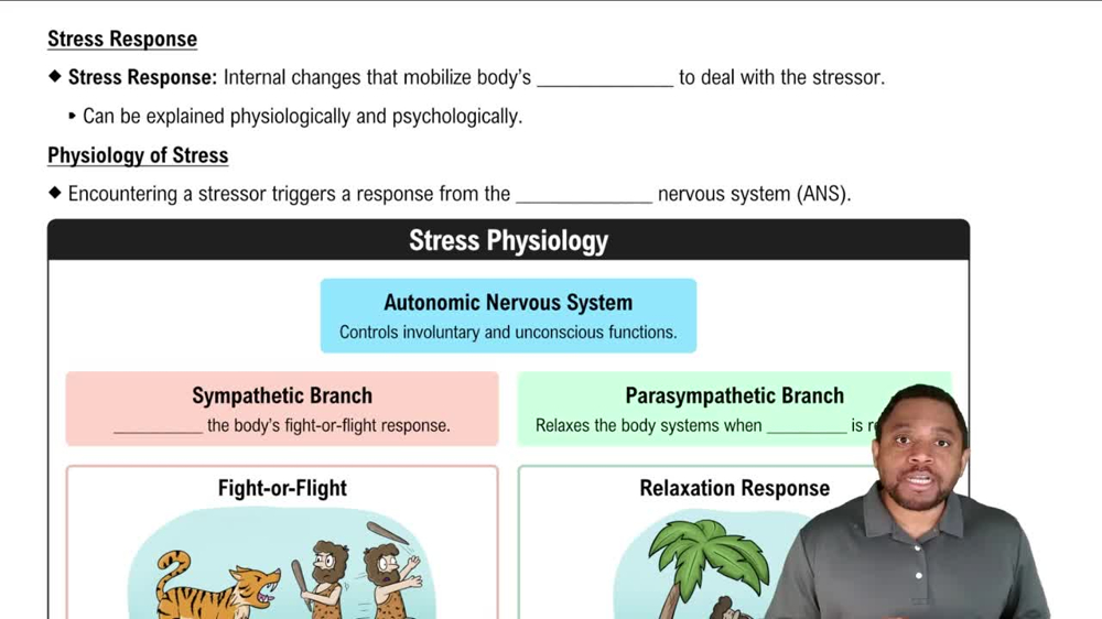 Stress Response Concept 1