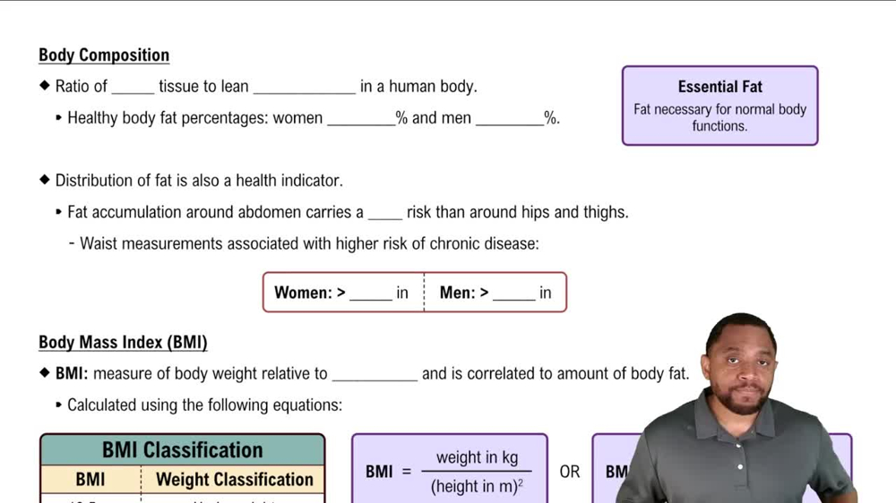 Body Composition Concept 1