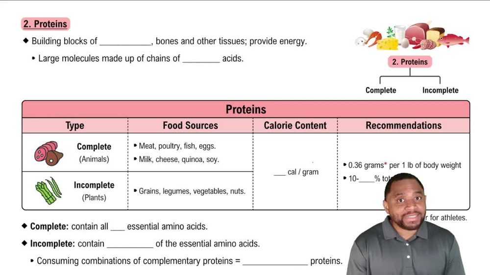 Proteins Concept 3