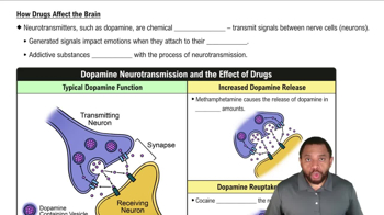 How Drugs Affect the Brain Concept 2