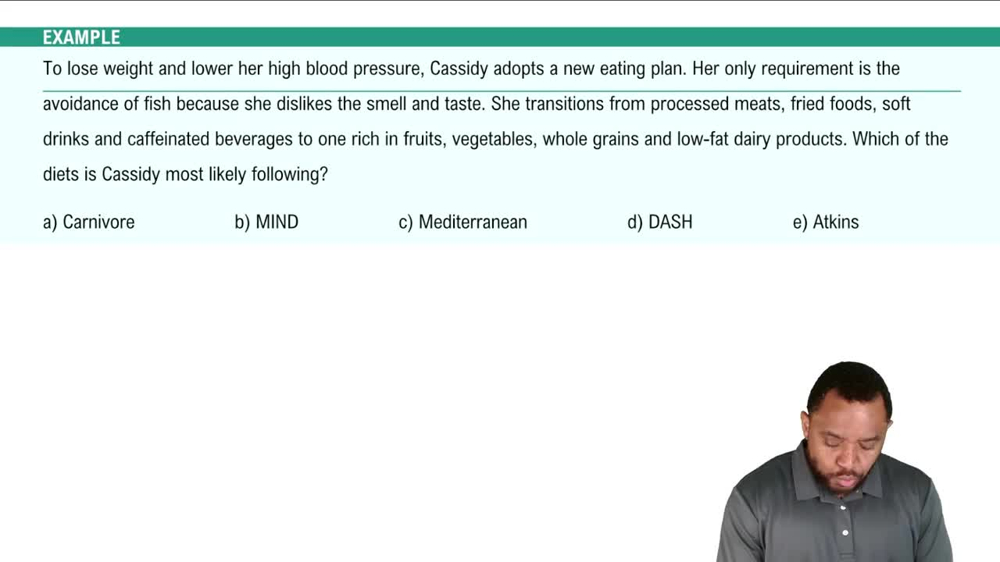 Healthy Diet Plans Example 4