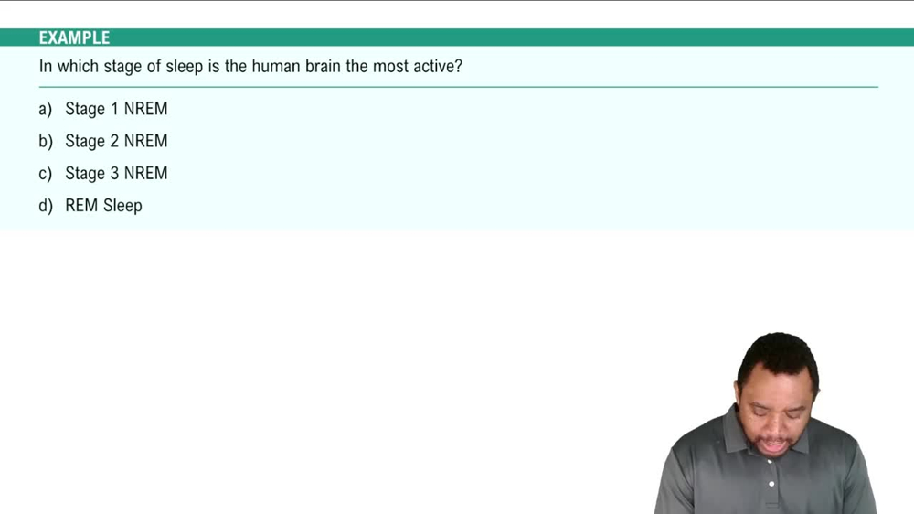 Stages of Sleep Example 2