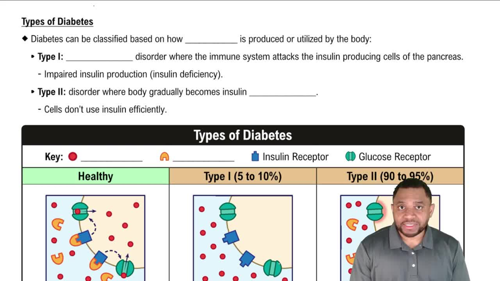 Types of Diabetes Concept 1