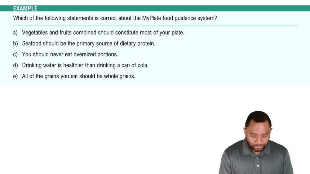 MyPlate Food Guidance System Example 2