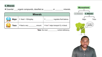 Minerals Concept 2