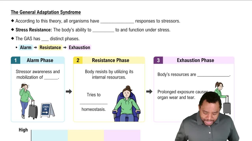 The General Adaptation Syndrome Concept 2