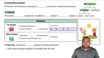 Vitamins Concept 1