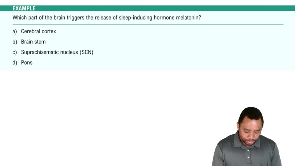 The Process Of Sleep Example 1