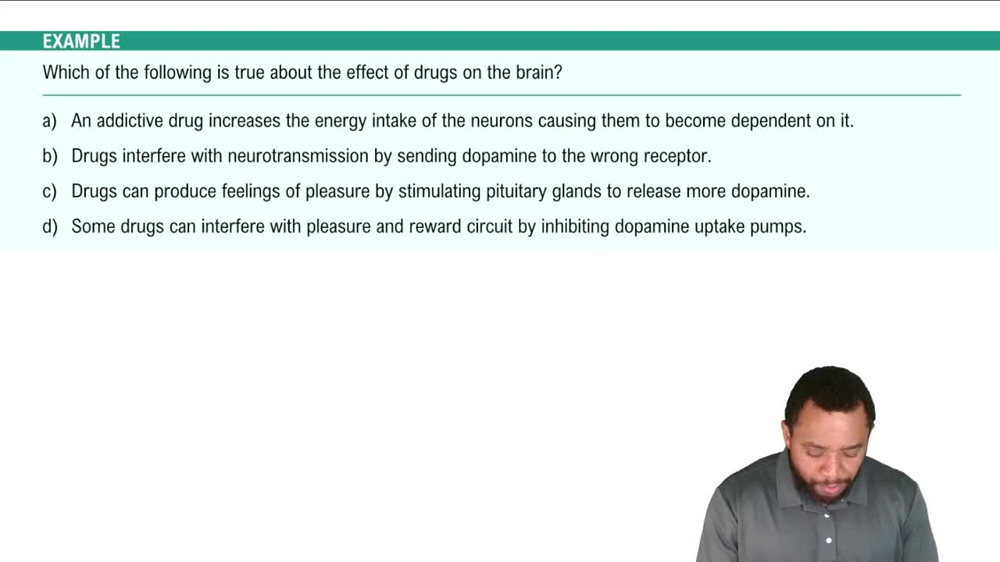 How Drugs Affect the Brain Example 2
