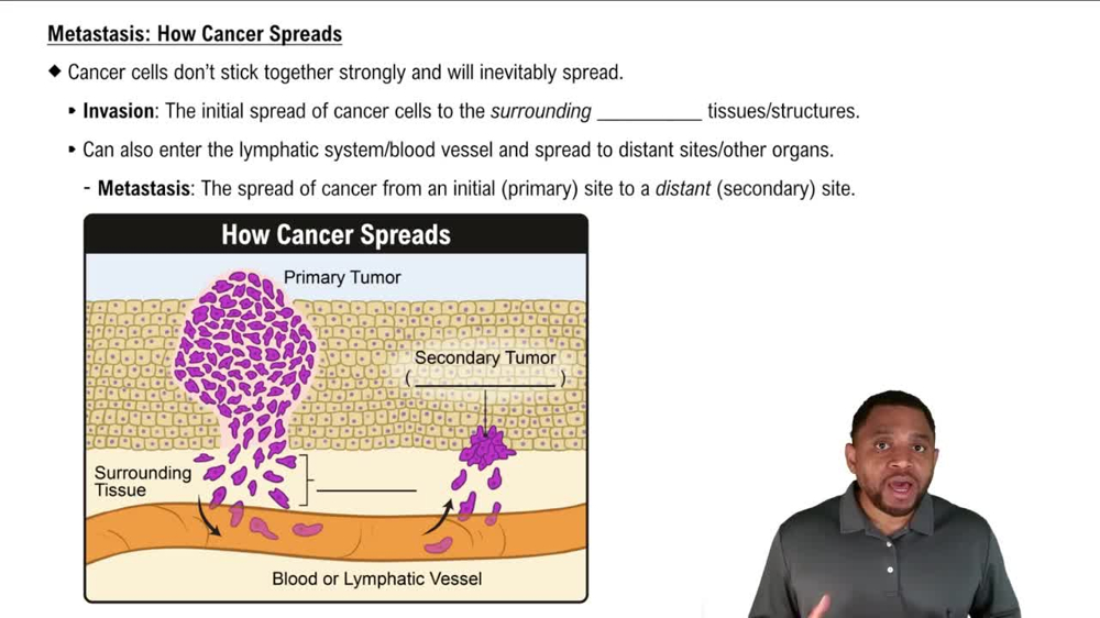 Metastasis: How Cancer Spreads Concept 2