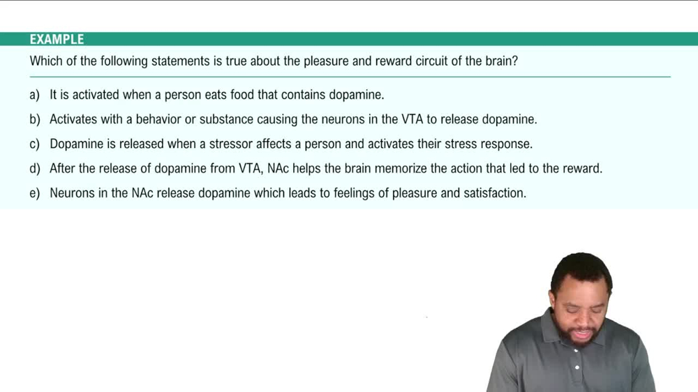 The Pleasure and Reward Circuit Example 1