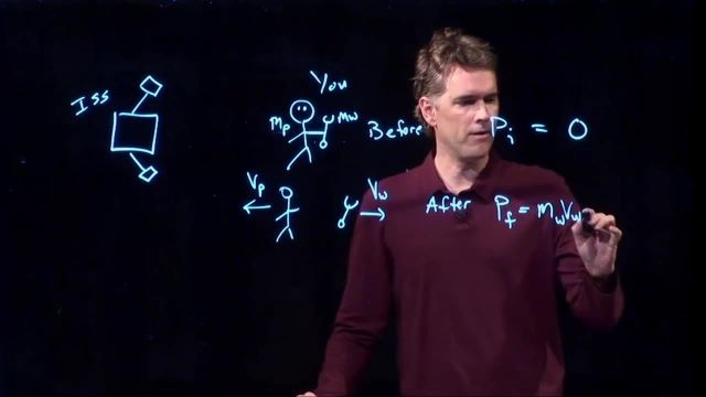 Anderson Video - Momentum and Rocket Propulsion