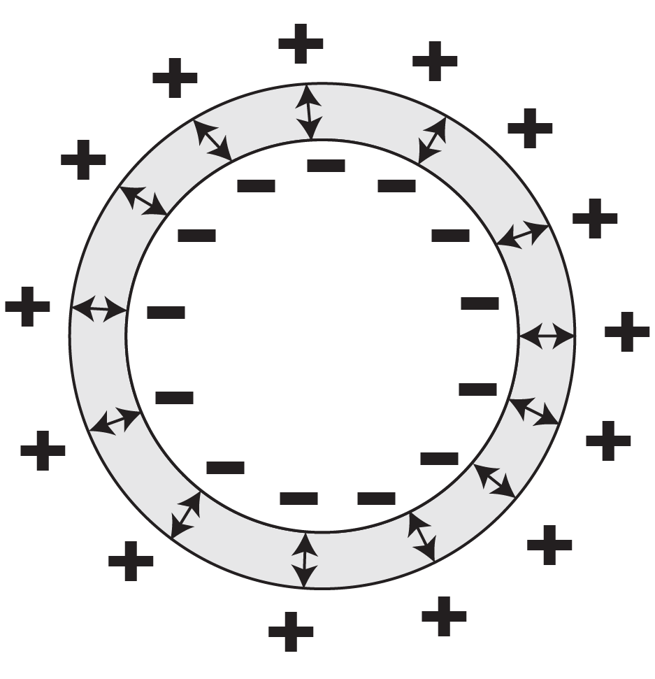 Diagram of a spherical shell with negative charges inside and positive charges outside, showing electric field directions between.
