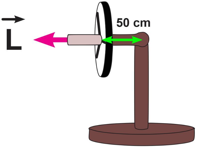 Diagram of a bicycle wheel showing its axle length and angular momentum direction.