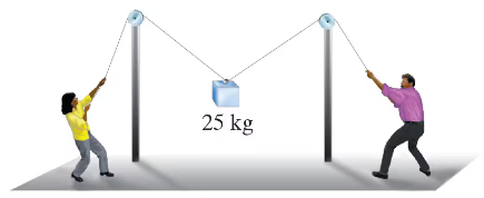 Two people pull on a nylon cord over poles, lifting a 25-kg object suspended between them.