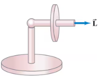 Illustration of a toy gyroscope on a stand, showing its axle and direction of angular momentum.