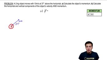 Momentum in 2D