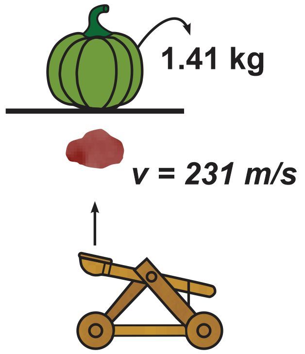 A catapult launches a stone at 231 m/s towards a 1.41 kg fruit on a surface.