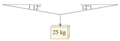 Diagram showing a 25 kg mass hanging from a wire, which sags at a 12° angle from the horizontal on both sides.