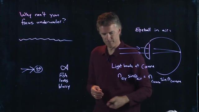 Anderson Video - Inability to Focus Underwater