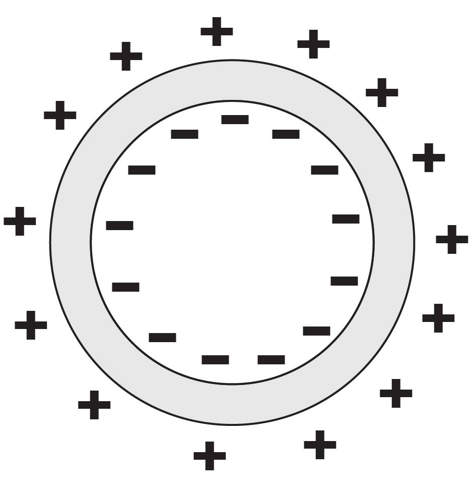 Spherical shell with negative charges on inner surface and equal positive charges on outer surface.