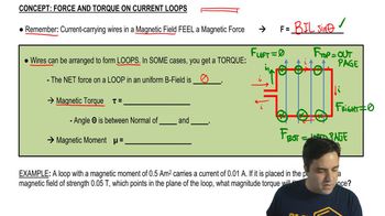 Force and Torque on Current Loops