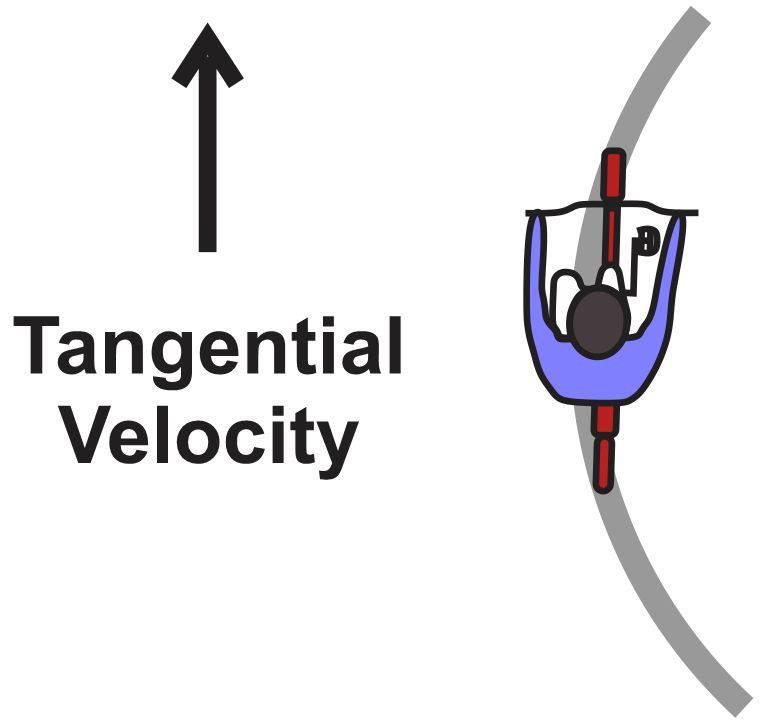 Diagram showing tangential velocity vector for a bicyclist on a circular path.