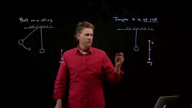 Anderson Video - Forces on a Ball Attached to a String