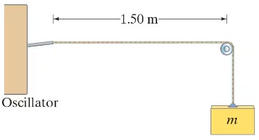 Diagram showing a horizontal string attached to an oscillator and a mass m hanging from a pulley, 1.50 m apart.
