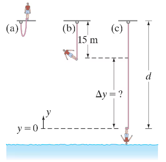 Illustration showing a person jumping off a bridge with a bungee cord, depicting fall distance and elastic potential energy.
