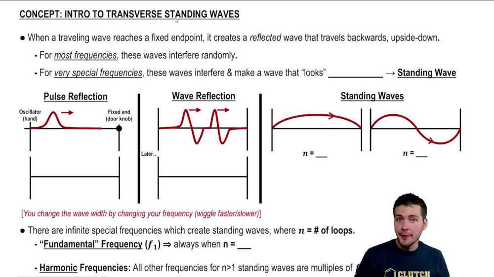Intro to Transverse Standing Waves