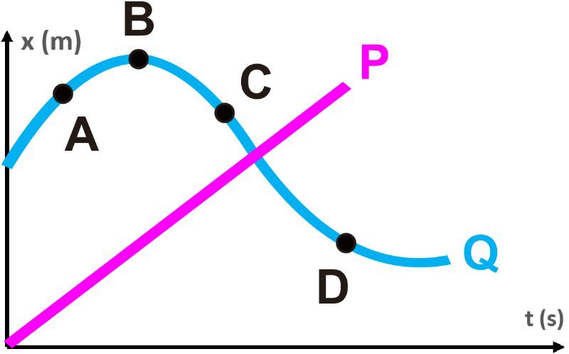 Position-time graph showing bikes P and Q; identify when they share the same velocity.
