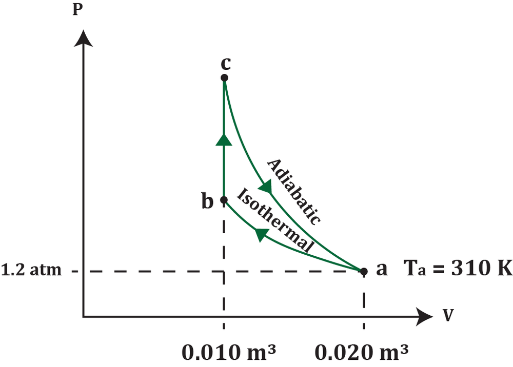 Pressure-volume graph showing points a, b, and c with isothermal and adiabatic processes between them and temperature 310 K at point a.